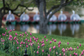 アメリカの街並み